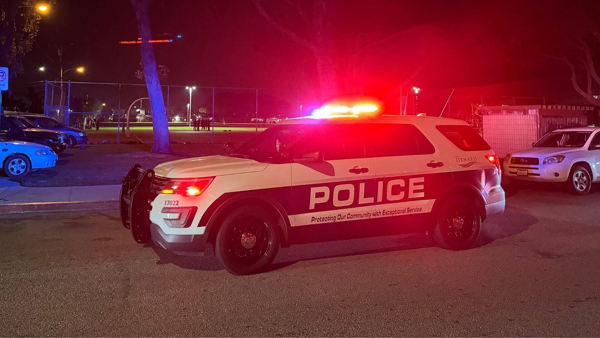 Conservative Grassroots