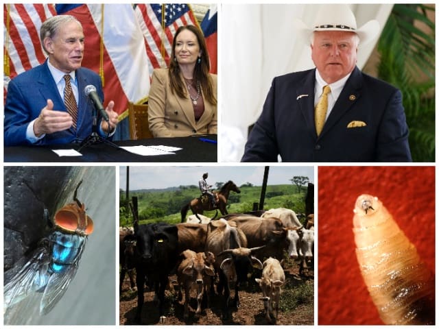 Conservative Grassroots